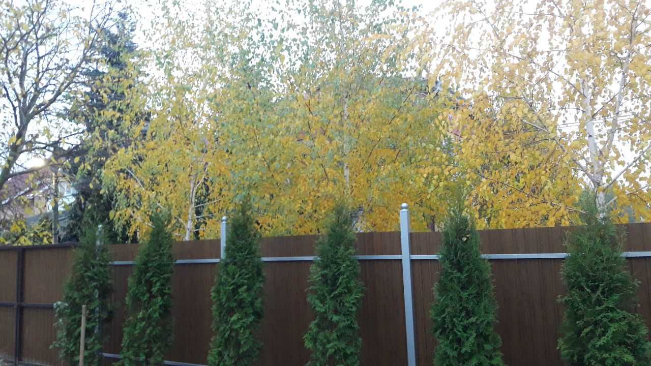 Аренда дома 150 м², Парнікова, 9