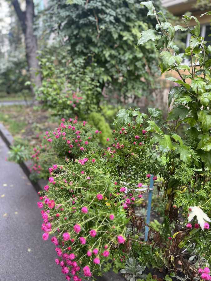 Продажа 2-комнатной квартиры 46 м², Салютная ул., 8