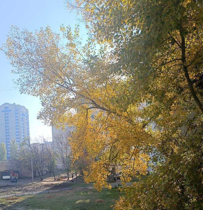 Аренда 2-комнатной квартиры 56 м², Лайоша Гавро, 11г