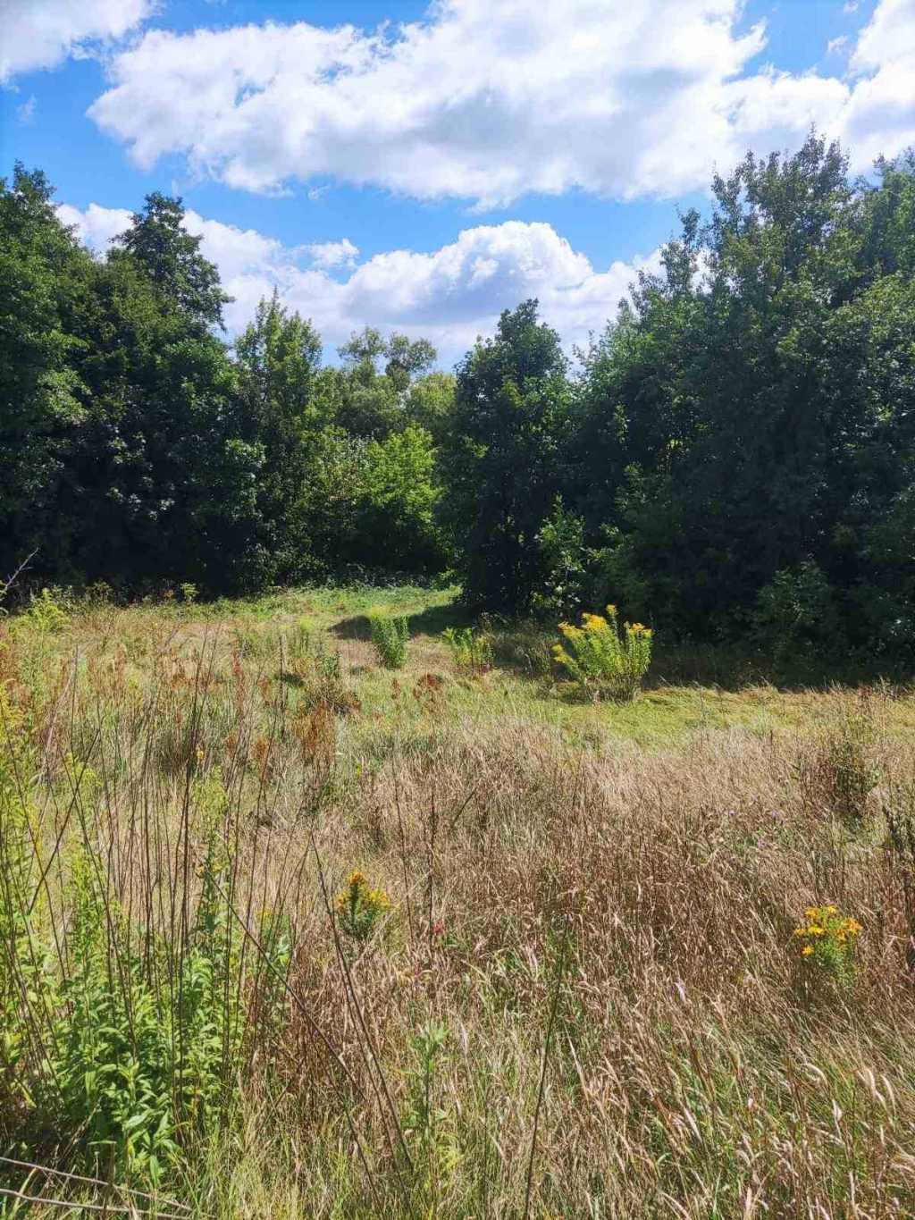 Продаж ділянки під індивідуальне житлове будівництво 25 соток