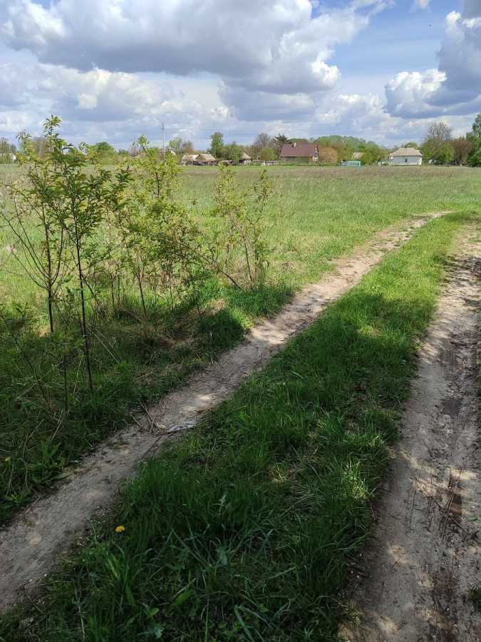 Продаж ділянки для особистого сільського господарства 28.32 соток, нова