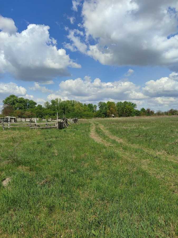 Продаж ділянки для особистого сільського господарства 28.32 соток, нова