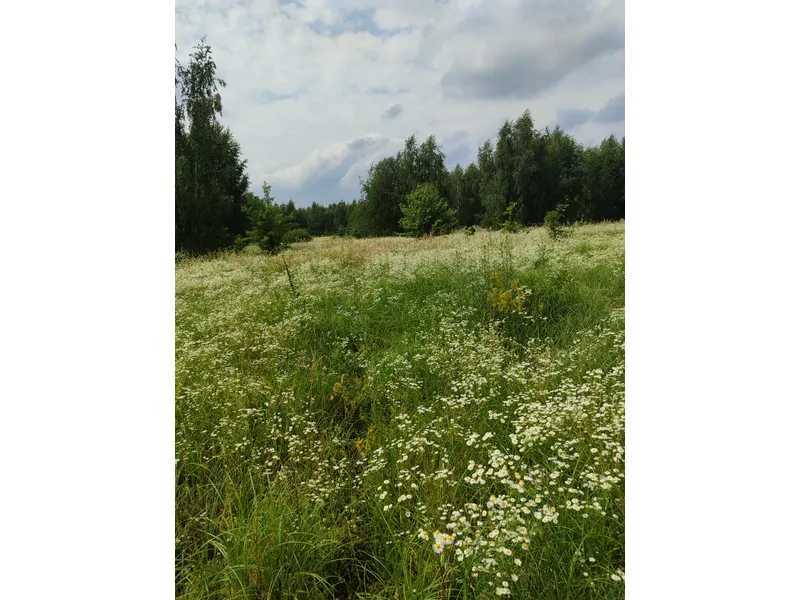 Продаж ділянки для особистого сільського господарства 1446.95 соток, Нова