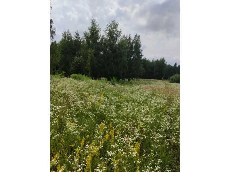 Продаж ділянки для особистого сільського господарства 1446.95 соток, Нова