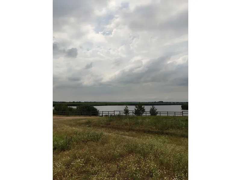 Продаж ділянки для особистого сільського господарства 1519.95 соток, Нова