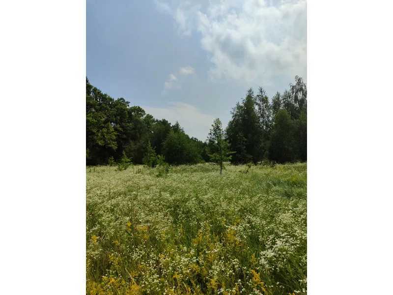 Продаж ділянки для особистого сільського господарства 1689.42 соток, Нова