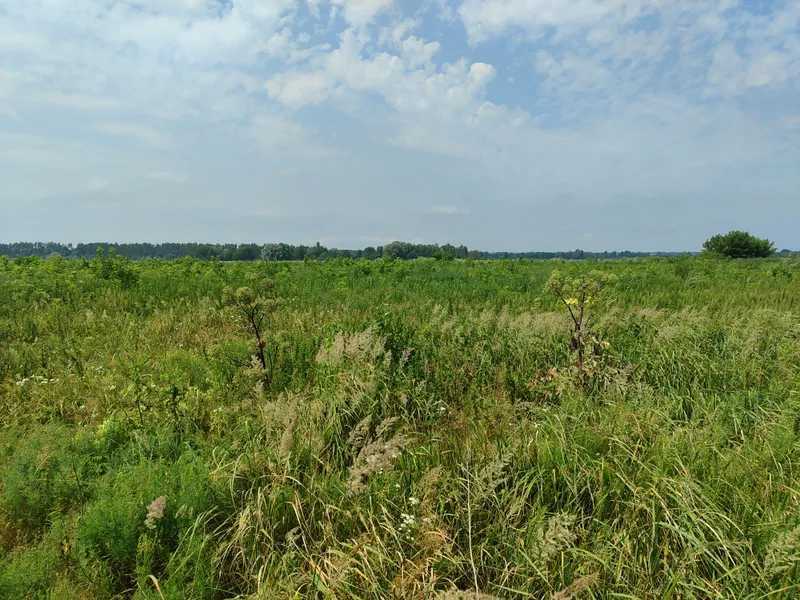 Продаж ділянки для особистого сільського господарства 2152.23 соток, Нова