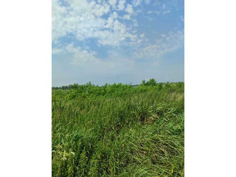 Продаж ділянки для особистого сільського господарства 2152.23 соток, Нова