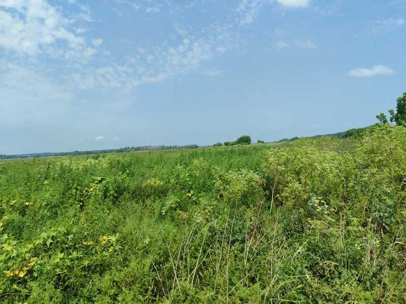 Продаж ділянки для особистого сільського господарства 2152.23 соток, Нова