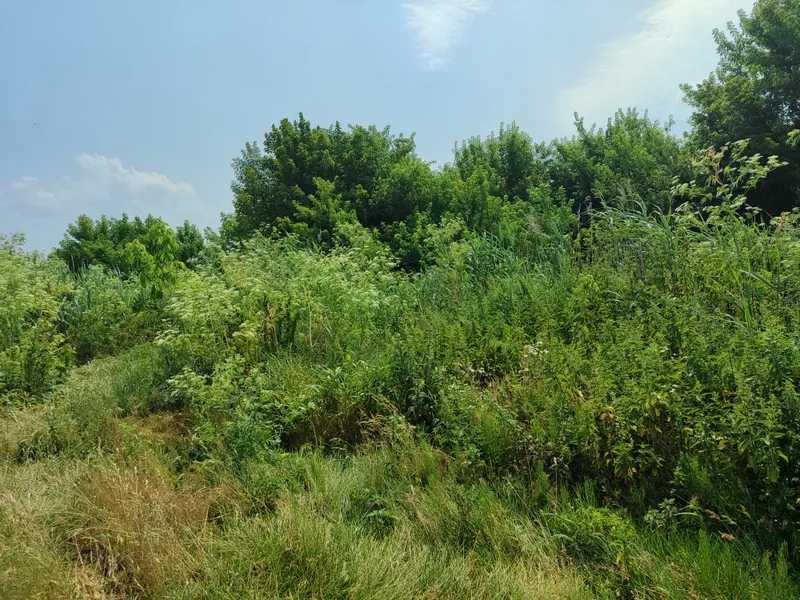 Продаж ділянки для особистого сільського господарства 2152.23 соток, Нова