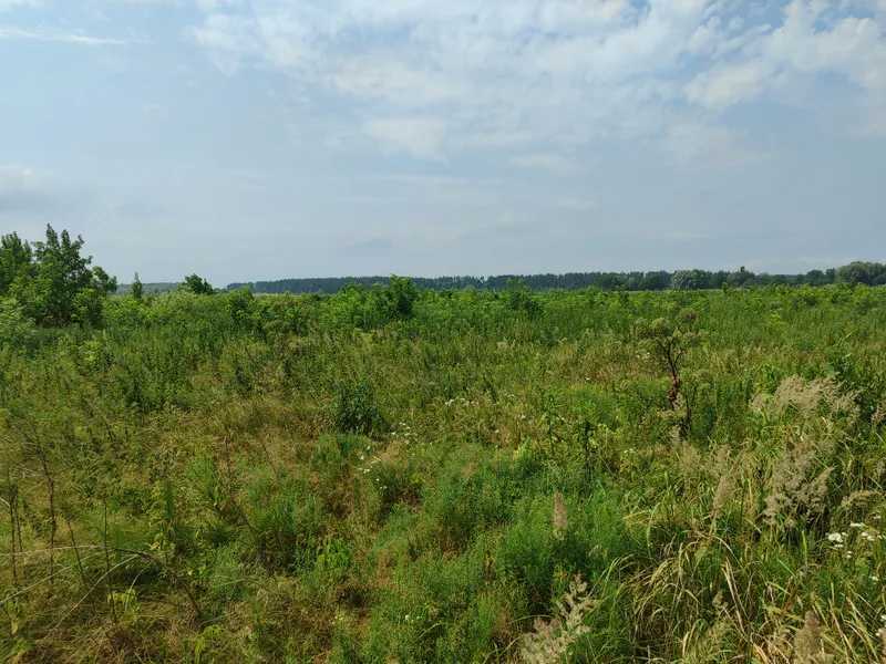 Продаж ділянки для особистого сільського господарства 2152.23 соток, Нова