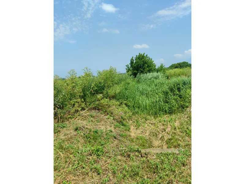 Продаж ділянки для особистого сільського господарства 2152.23 соток, Нова