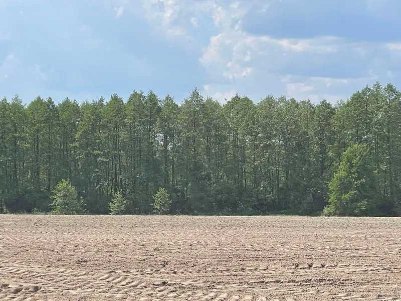 Продаж ділянки для особистого сільського господарства 38.71 соток, Нова