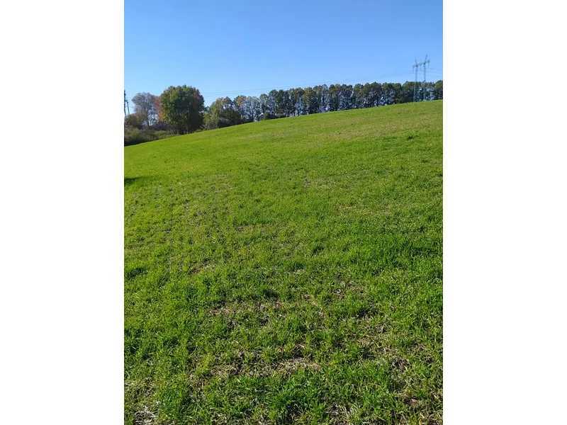 Продаж ділянки для особистого сільського господарства 10 соток, Нова