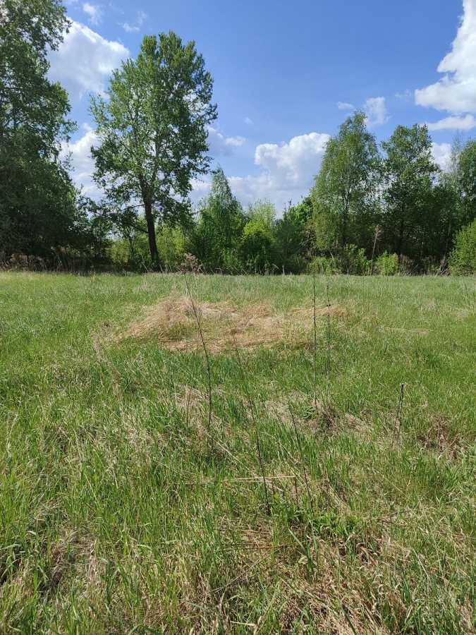 Продаж ділянки для особистого сільського господарства 16.52 соток, нова