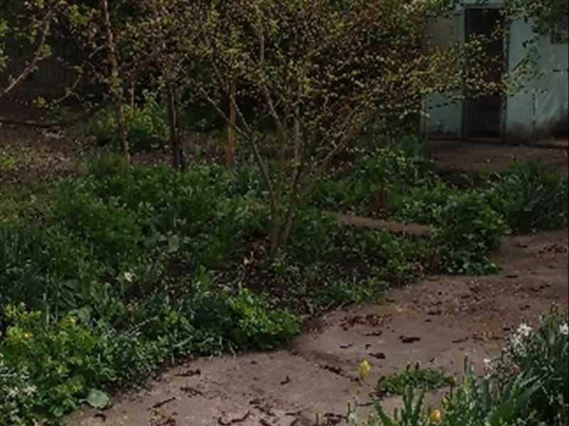 Продаж будинку 98.6 м², Олександрійська вул., 93