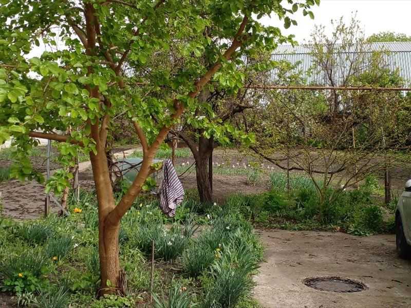 Продаж будинку 98.6 м², Олександрійська вул., 93