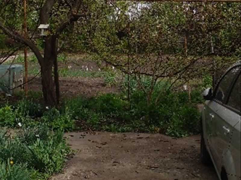 Продаж будинку 98.6 м², Олександрійська вул., 93