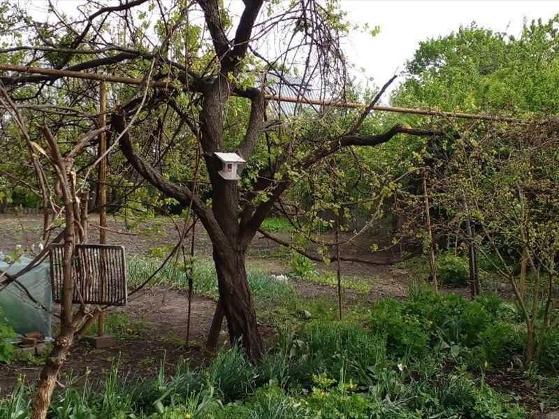 Продаж будинку 98.6 м², Олександрійська вул., 93