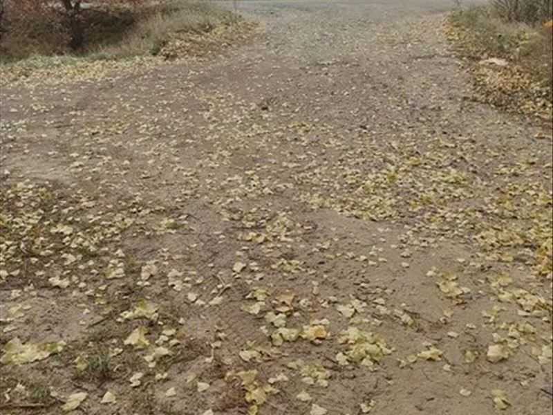 Продаж ділянки для особистого сільського господарства 480.01 соток, нова