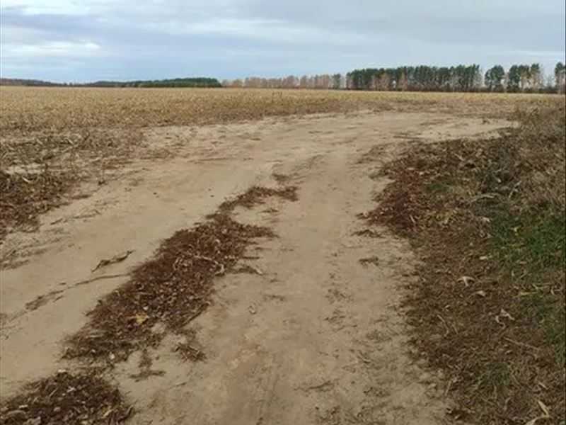 Продаж ділянки для особистого сільського господарства 480.01 соток, нова