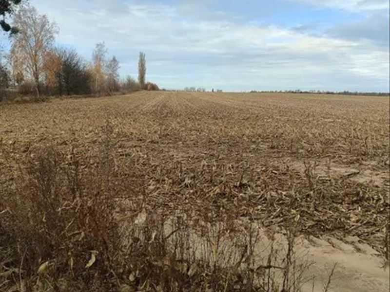 Продаж ділянки для особистого сільського господарства 480.01 соток, нова