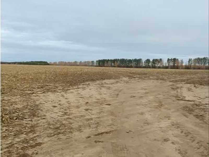 Продаж ділянки для особистого сільського господарства 480.01 соток, нова