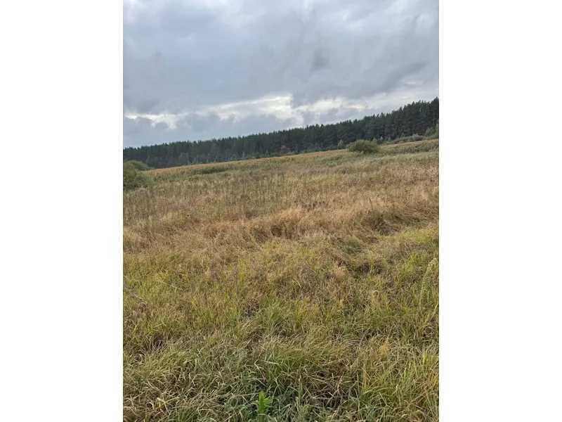 Продаж ділянки для особистого сільського господарства 167.12 соток, Нова