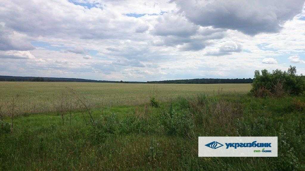 Продаж ділянки для особистого сільського господарства 551.47 соток, Нова