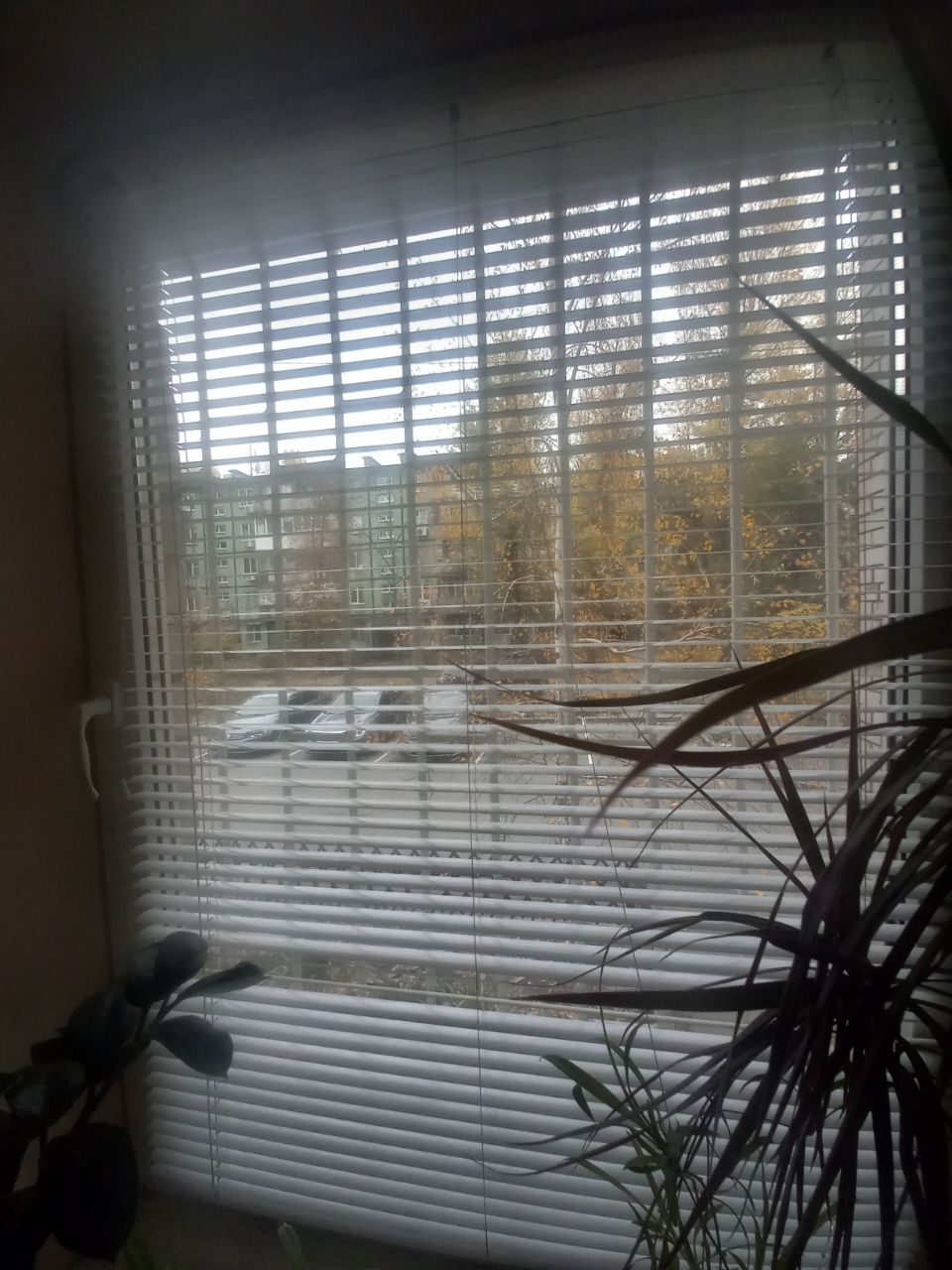 Аренда офиса 55 м², Петра Калнышевского ул., 47А