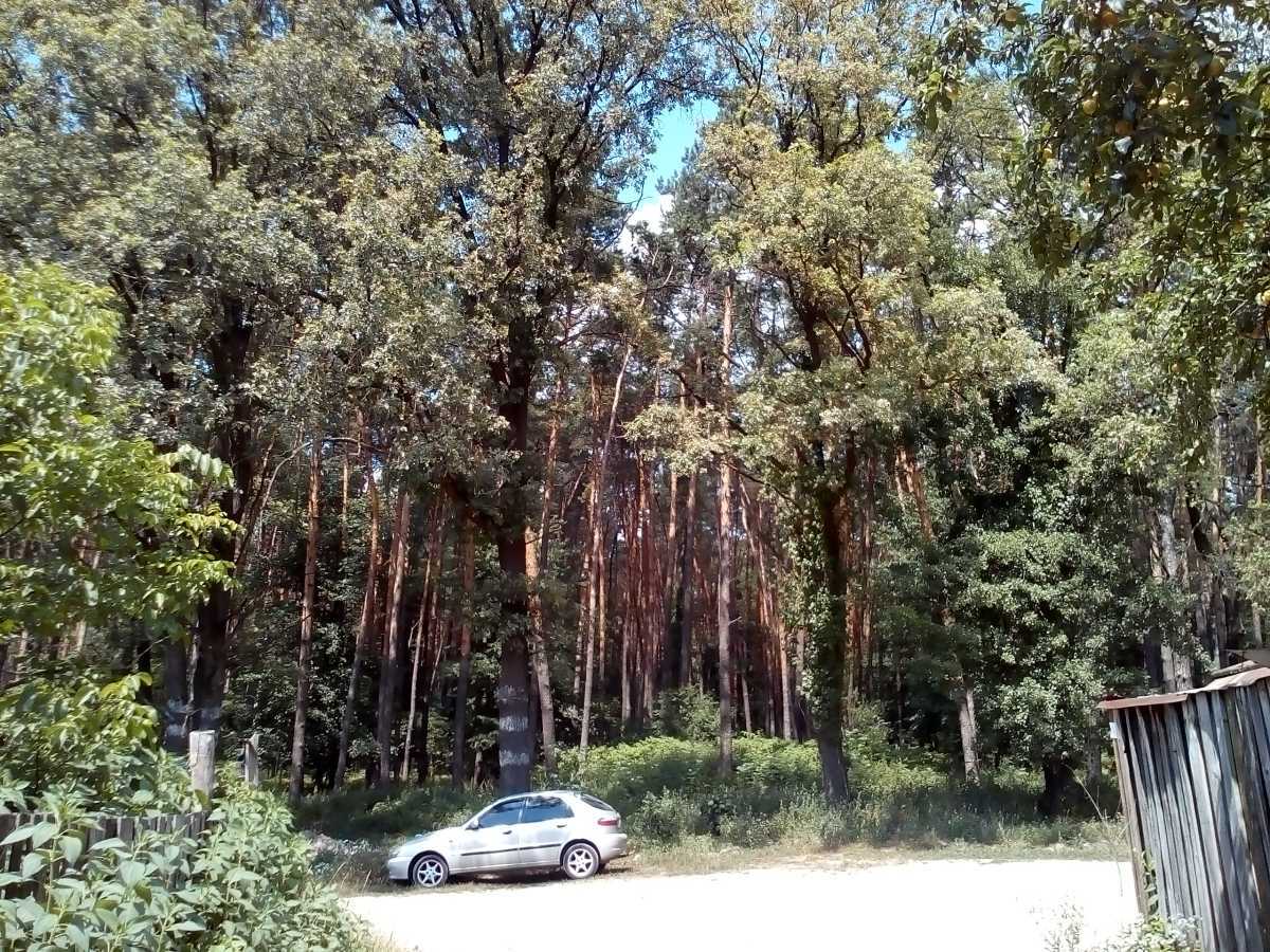 Продаж ділянки під індивідуальне житлове будівництво 9 соток, Синьоозерна вул.