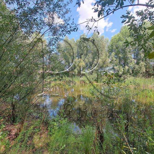 Продаж ділянки під індивідуальне житлове будівництво 0.25 соток, Молодіжна вулиця 1