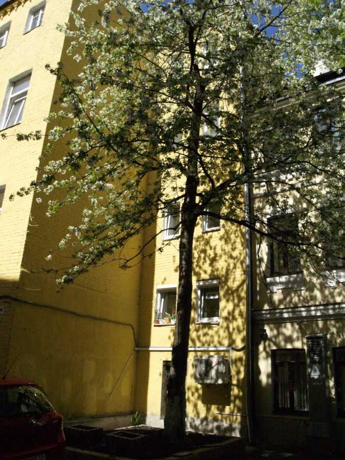 Оренда 1-кімнатної квартири 25 м², Мала Житомирська вул., 18