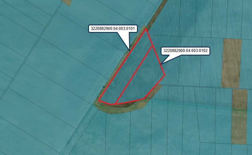 Продаж ділянки для особистого сільського господарства 200 соток, Головурівський с/о