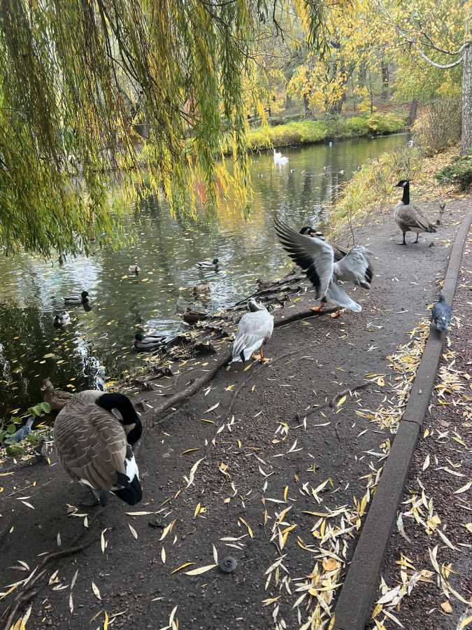 Продаж 1-кімнатної квартири 43 м², Вишгородська вул., 45/4