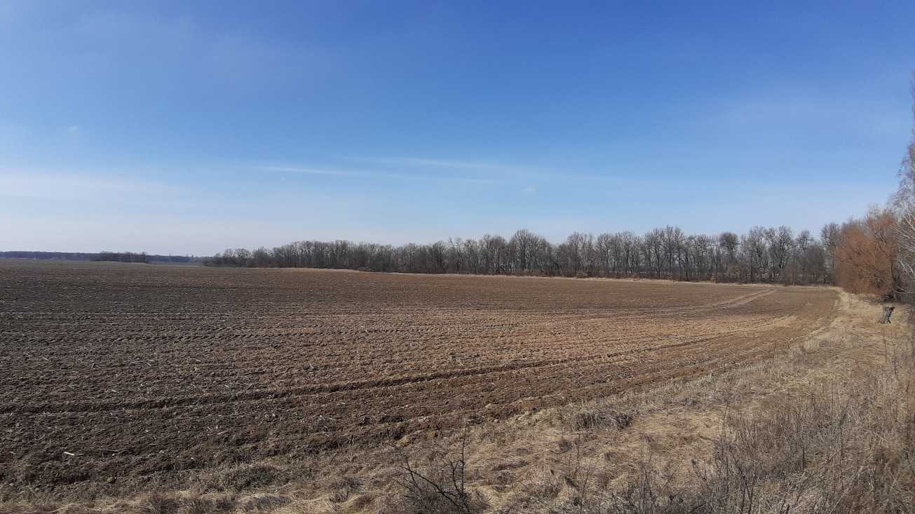 Продаж ділянки для особистого сільського господарства 200 соток, Сеньківська с/р