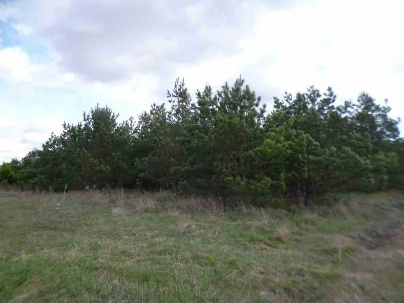 Продаж ділянки для особистого сільського господарства 200 соток, Вороньков, улица Вороньків