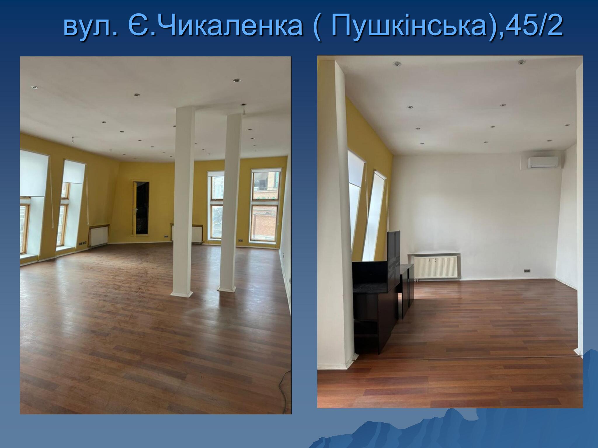 Оренда офісу 311 м², Пушкінська вул.