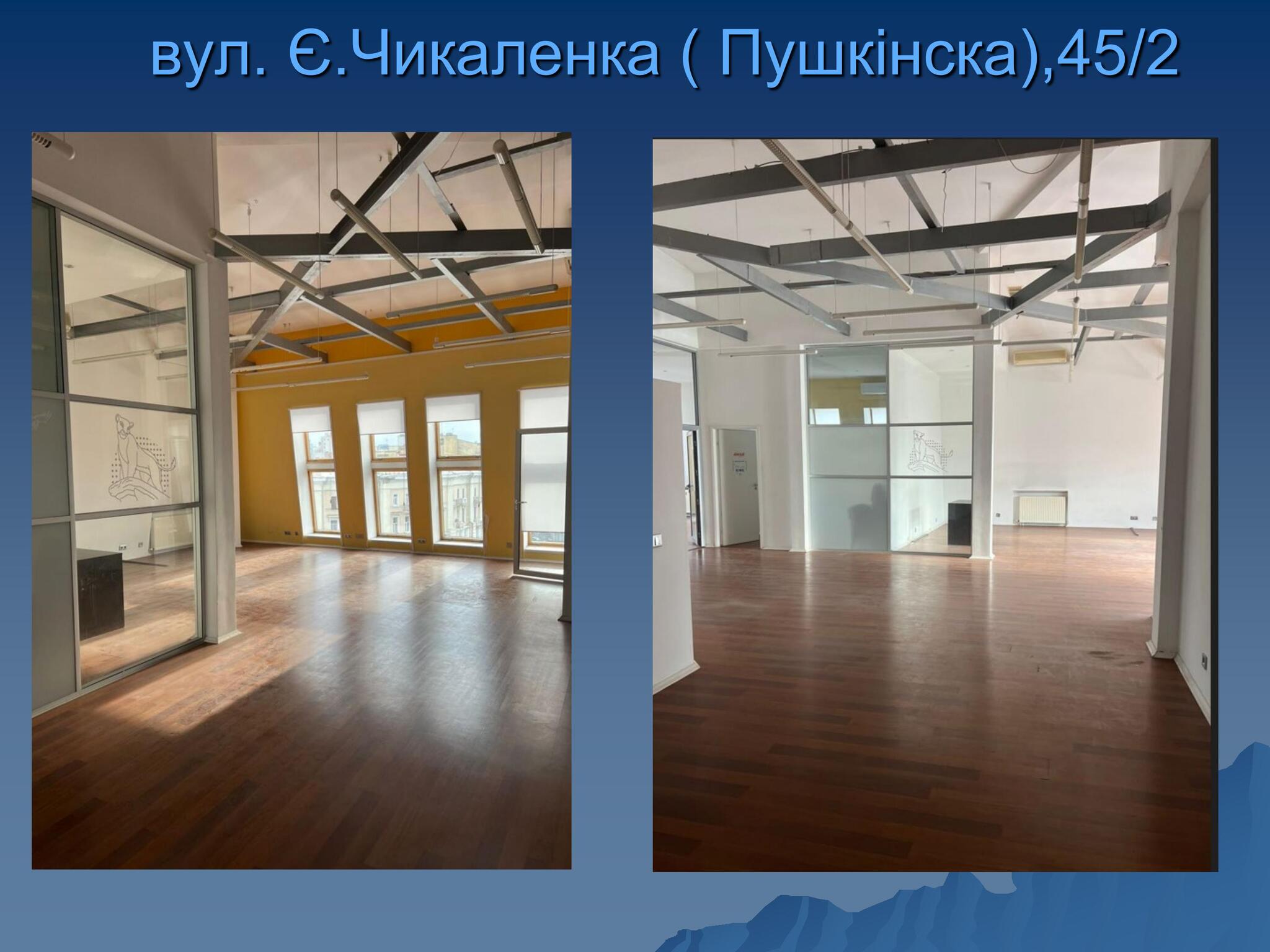 Оренда офісу 311 м², Пушкінська вул.