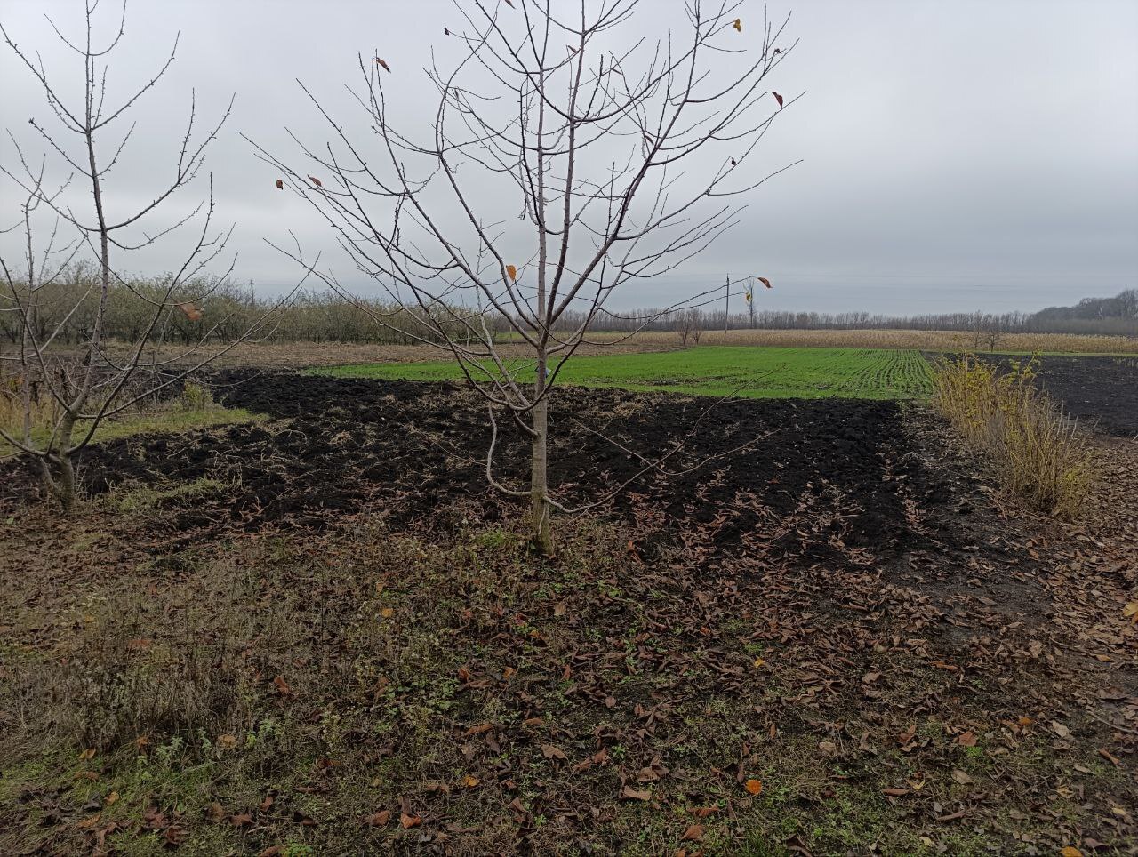 Продажа дома 86 м²