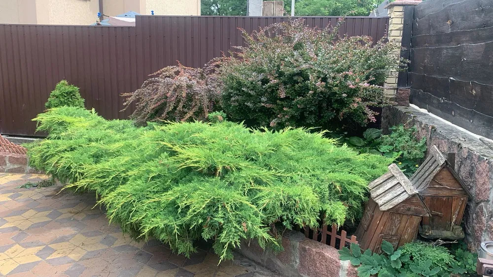 Продаж будинку 201 м²