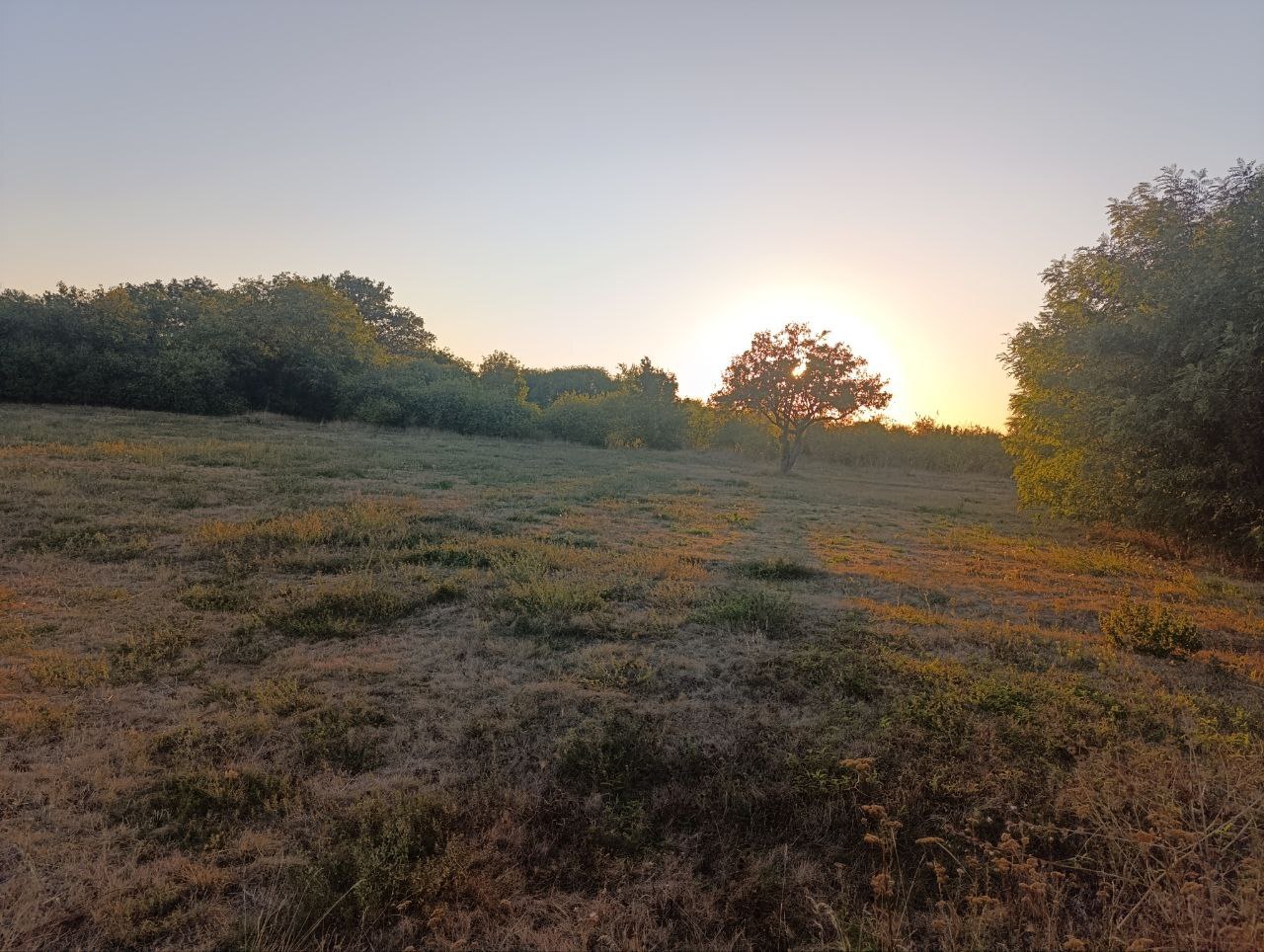 Продаж ділянки під індивідуальне житлове будівництво 60 соток