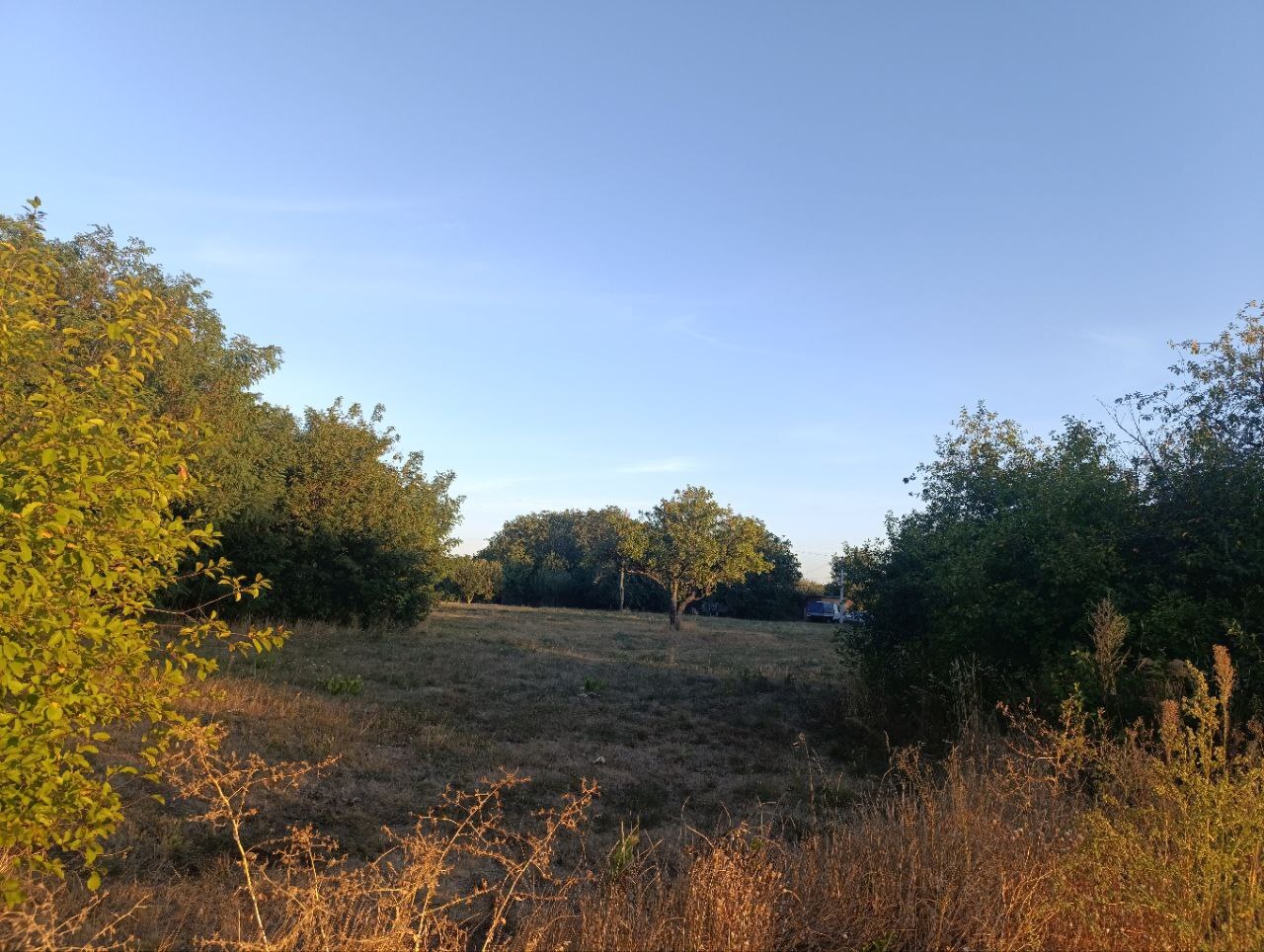 Продаж ділянки під індивідуальне житлове будівництво 60 соток