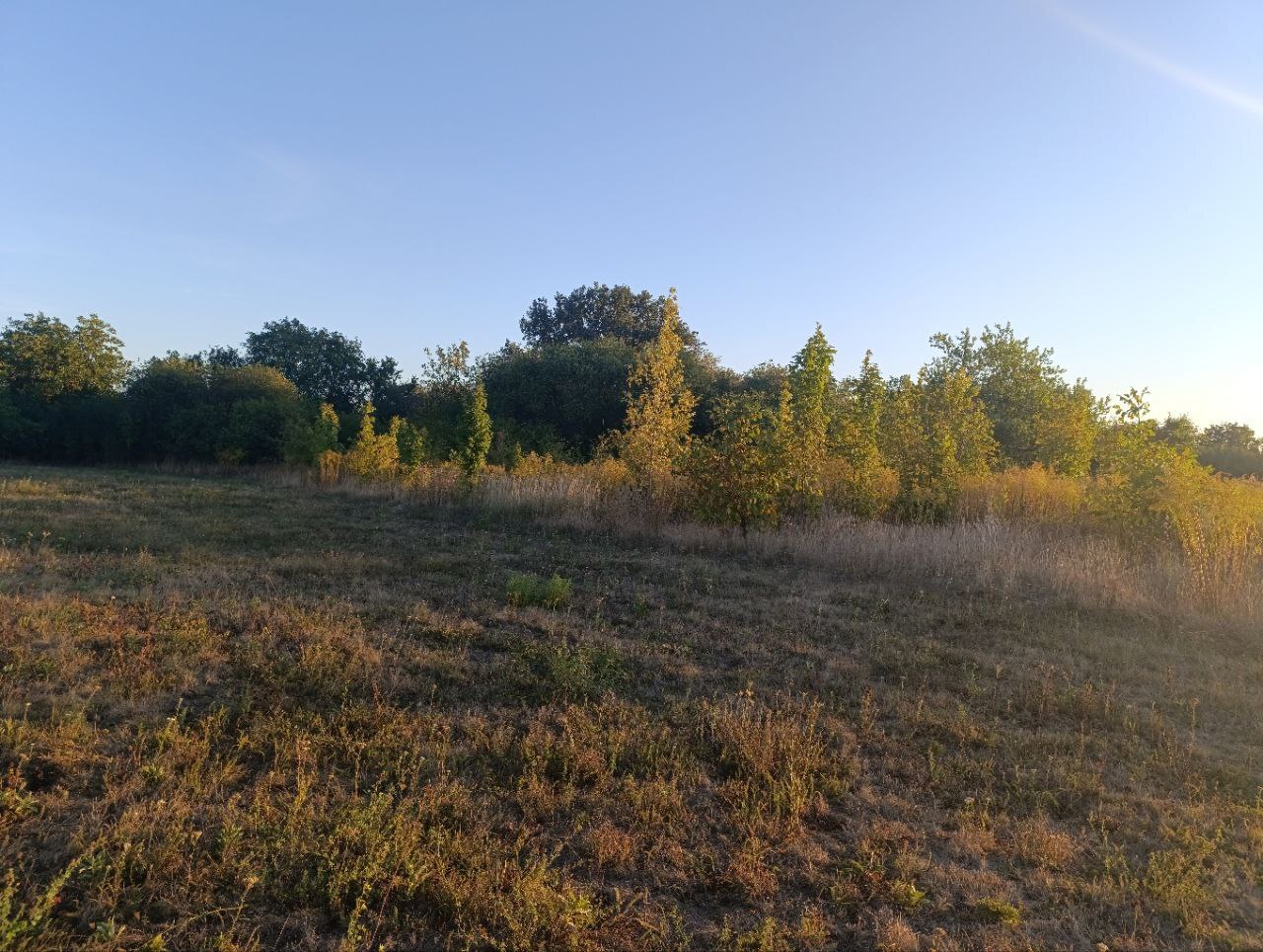 Продаж ділянки під індивідуальне житлове будівництво 60 соток