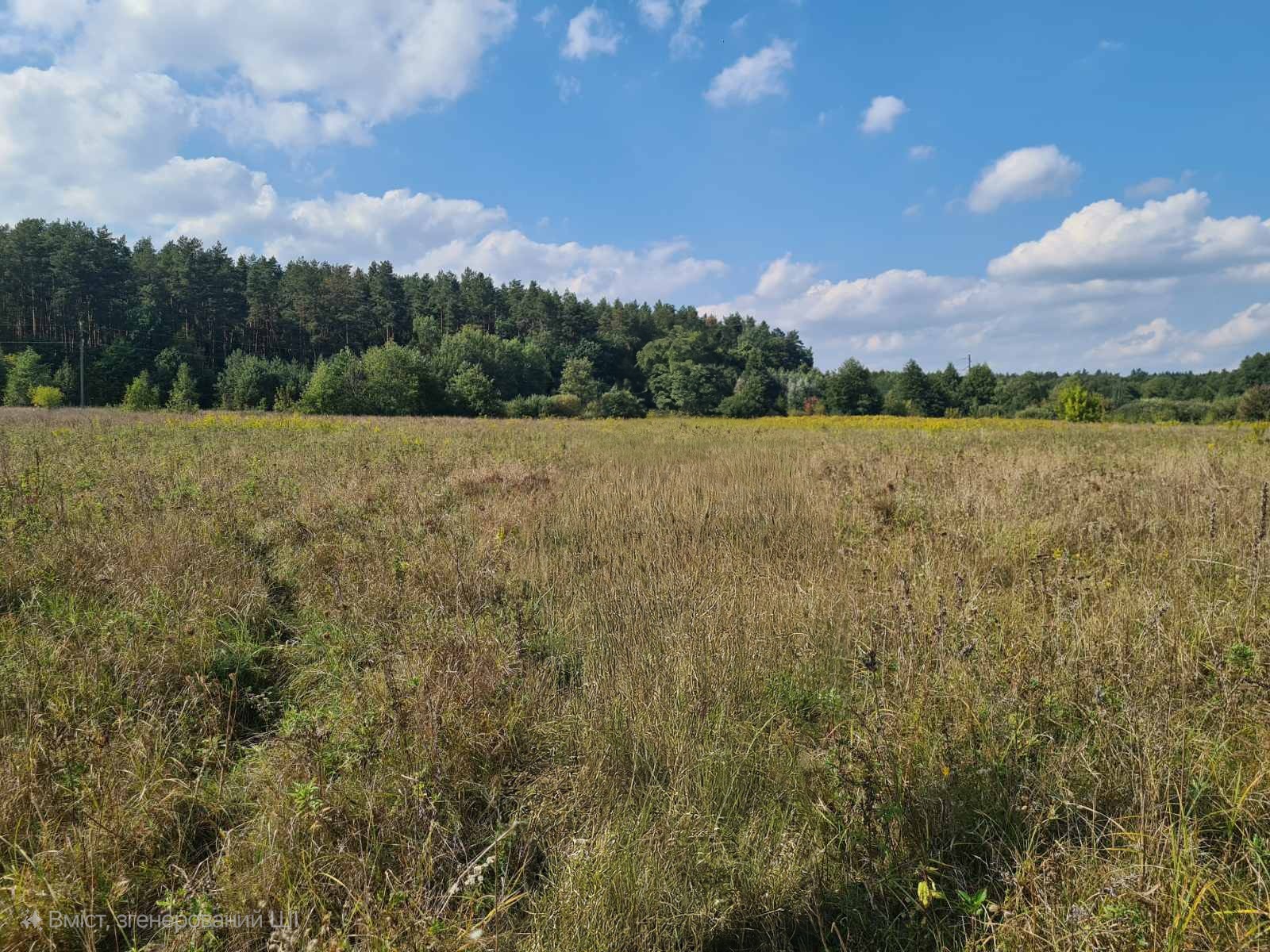 Продаж ділянки під інвестиційний проєкт 25 соток