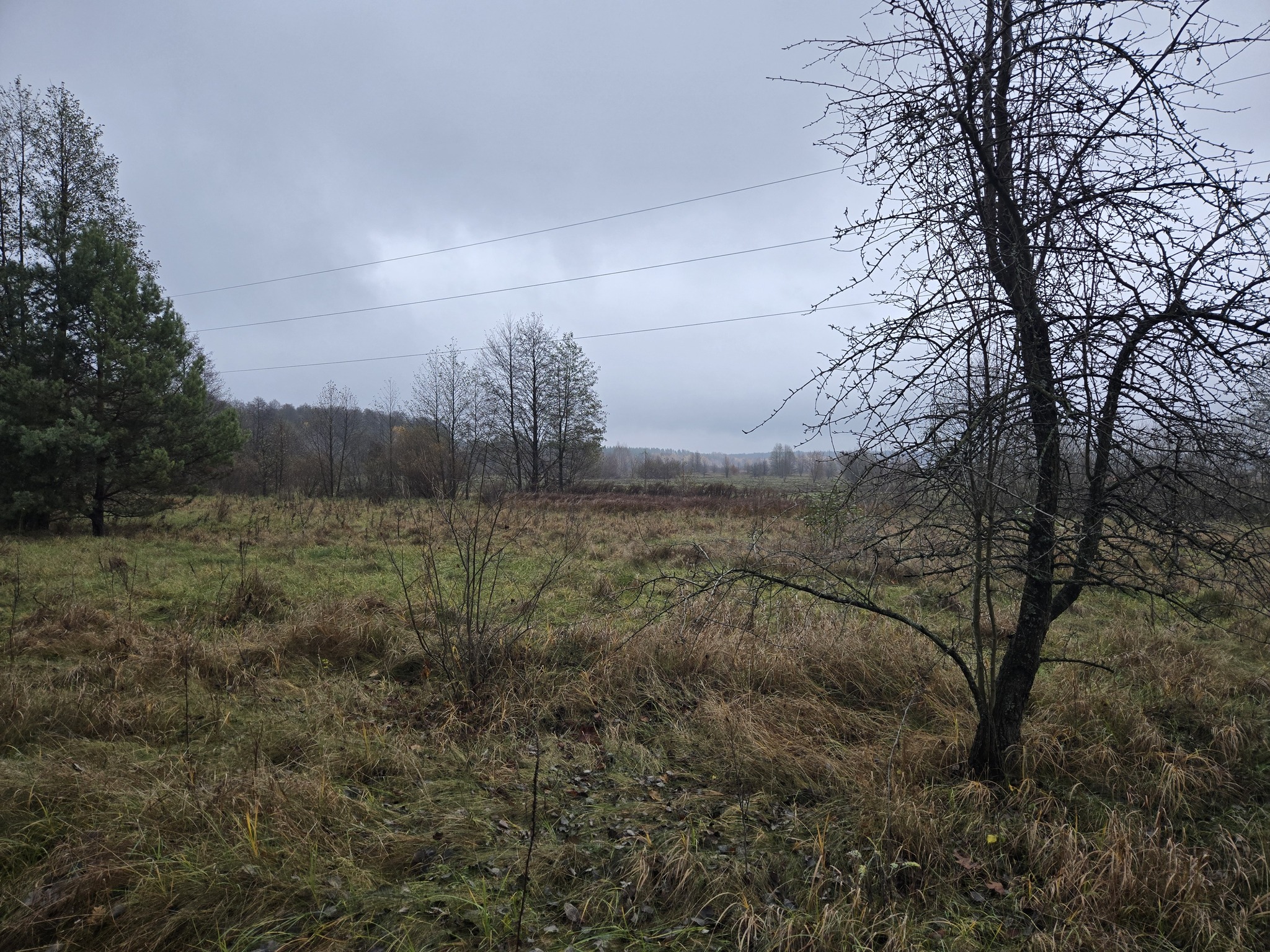 Продаж ділянки під інвестиційний проєкт 25 соток