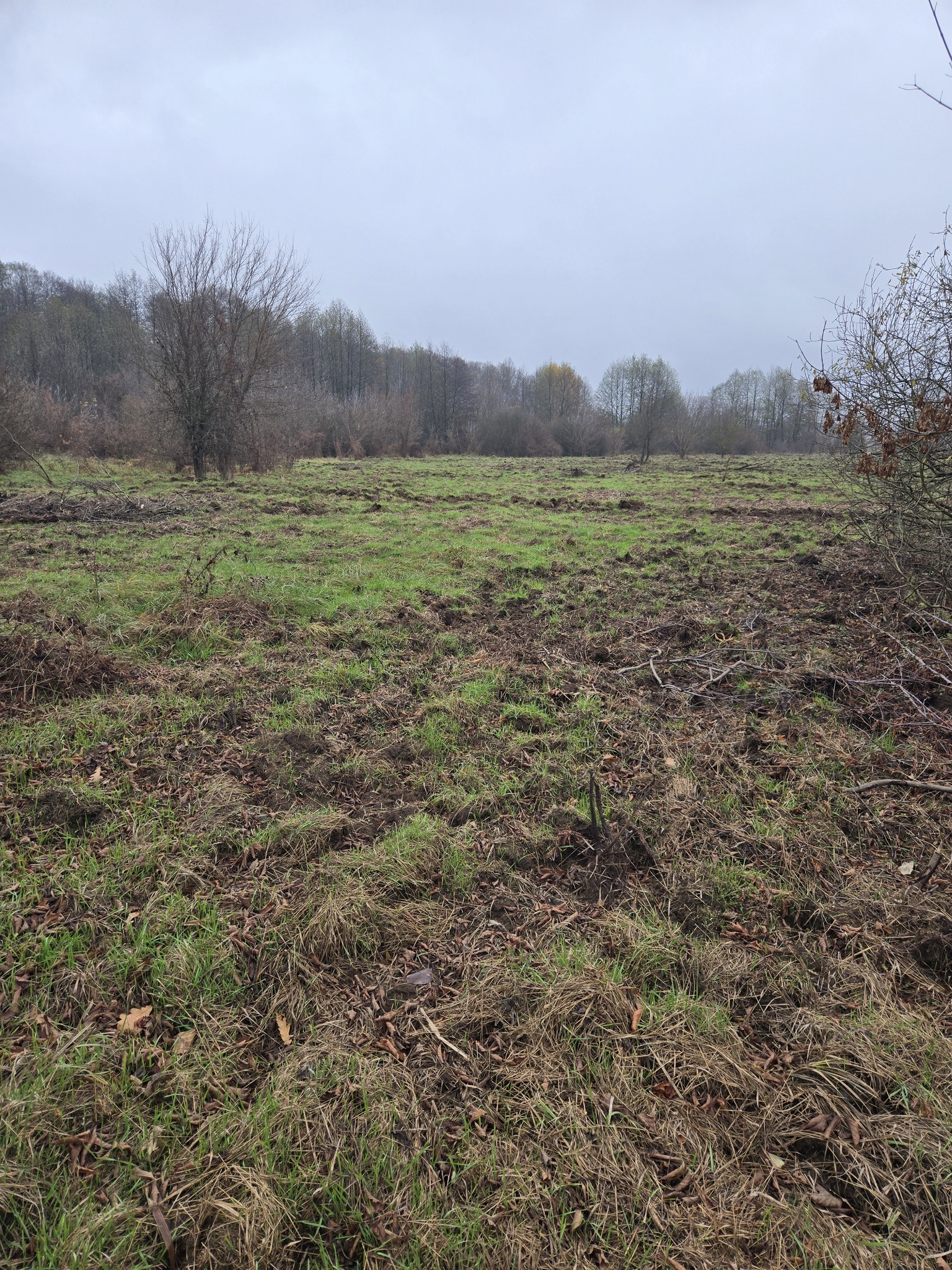 Продаж ділянки під інвестиційний проєкт 25 соток