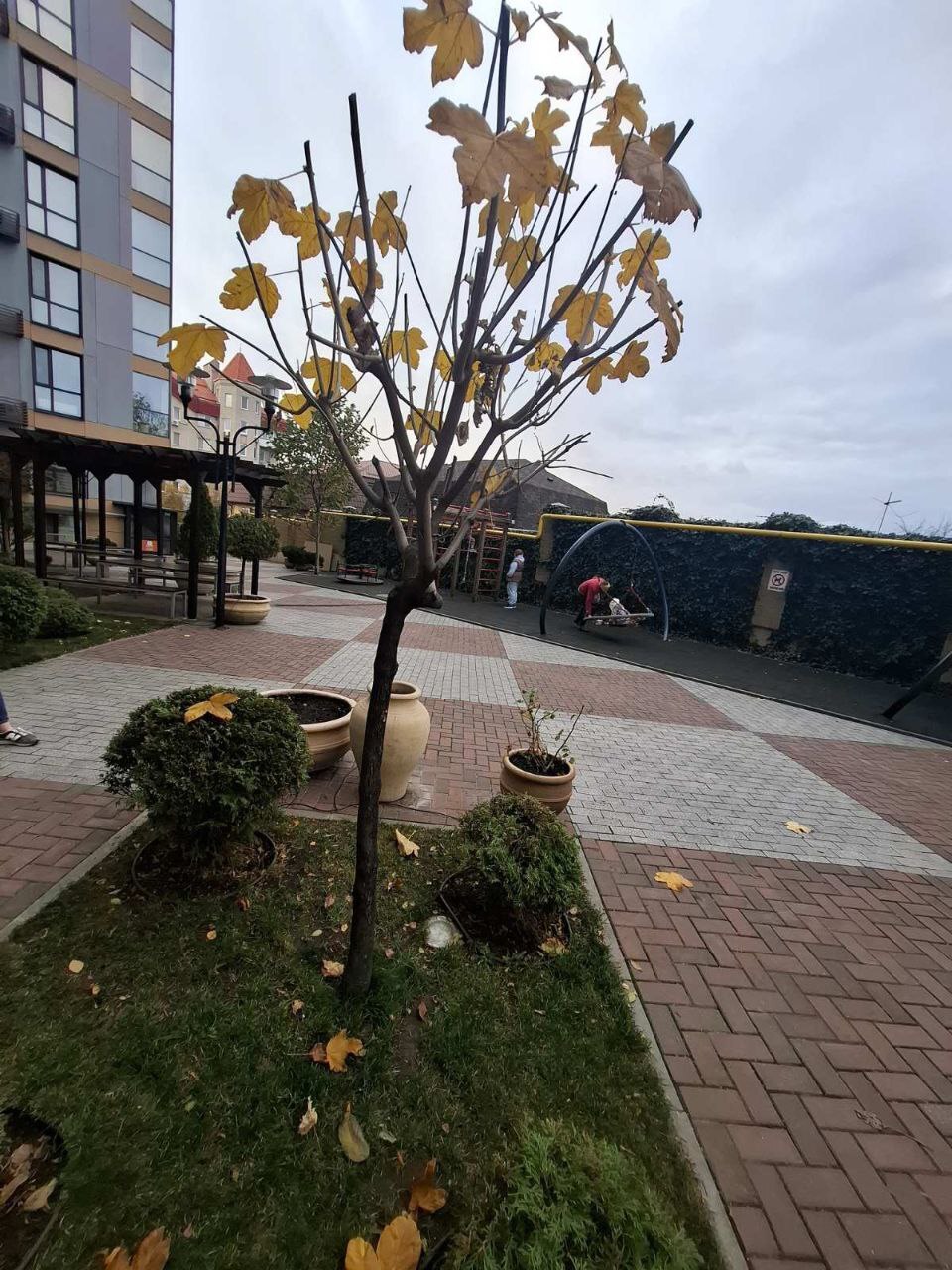 Продажа 1-комнатной квартиры 44 м², Светлова ул.