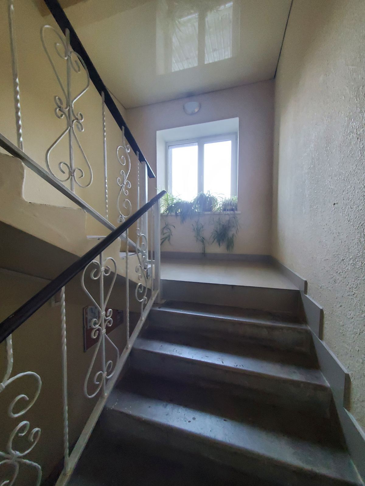 Оренда студії 26 м², Яснополянська вул., 48Б