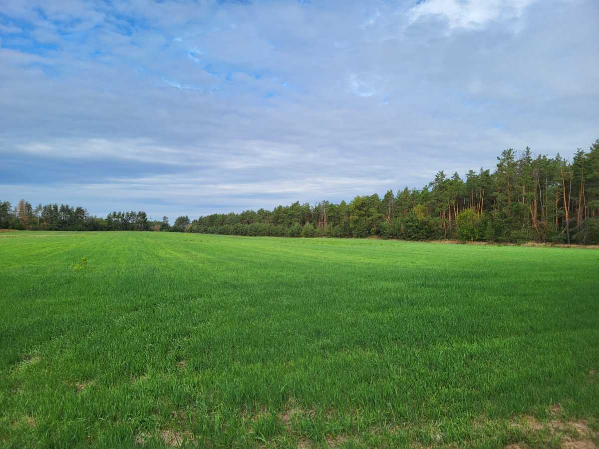 Продажа участка для личного сельского хозяйства 200 соток, Вороньков, улица б/н